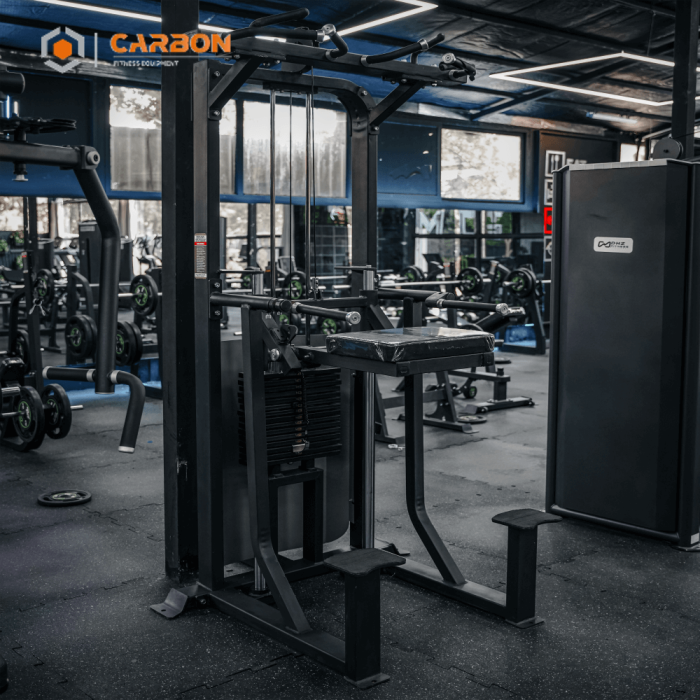 دستگاه پارالل بارفیکس CARBON X1 - تصویر 1